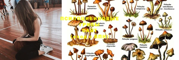 не бодяженный Арсеньев